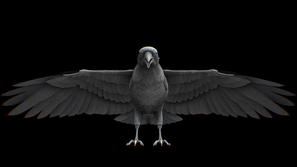 Raven Model