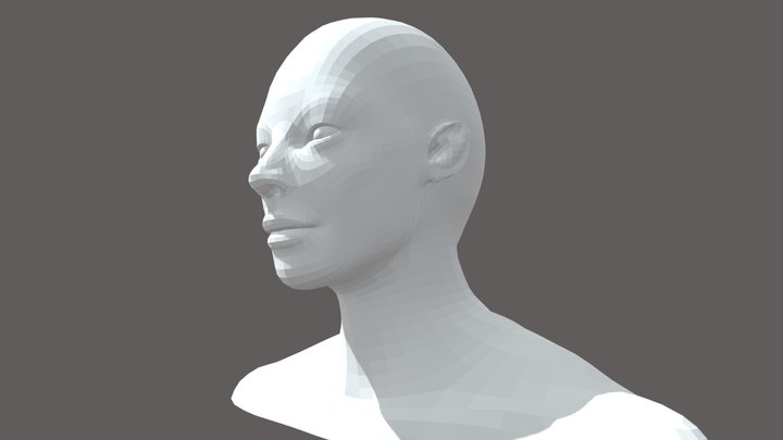 Free a head-shaped model 3D Model