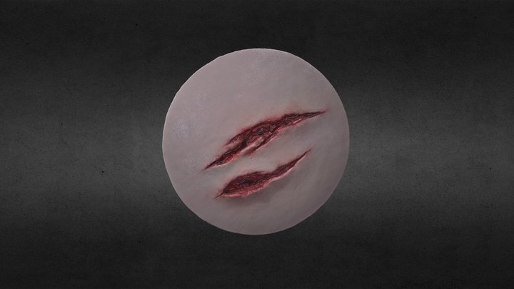 WOUND4 3D Model