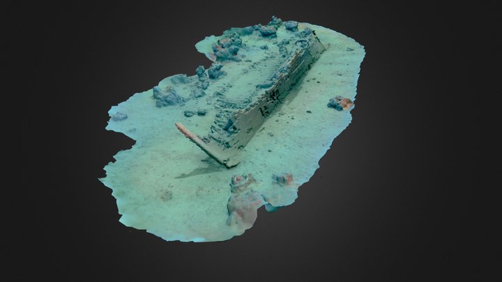 Andrea 3D Model