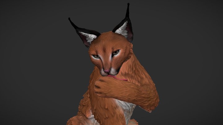 Caracal 3D Model