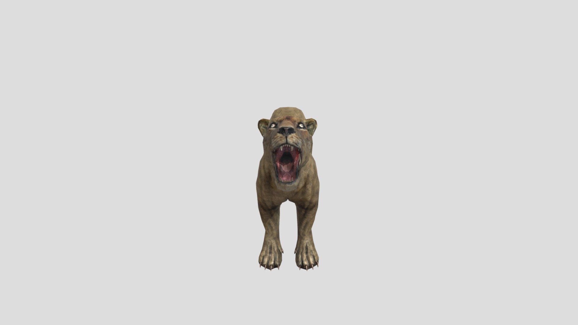 Lioness