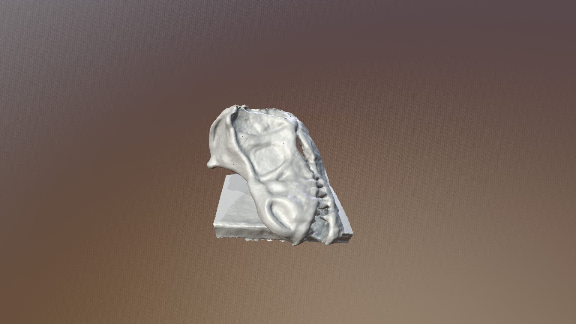 Dino head