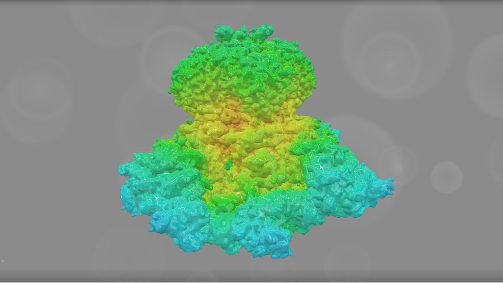 EMD 6369 - 3D model by Interactive 3D Data (@proteinsimulation ...