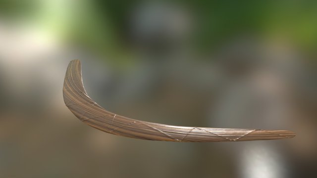 Boomerang from Brisbane region 3D Model