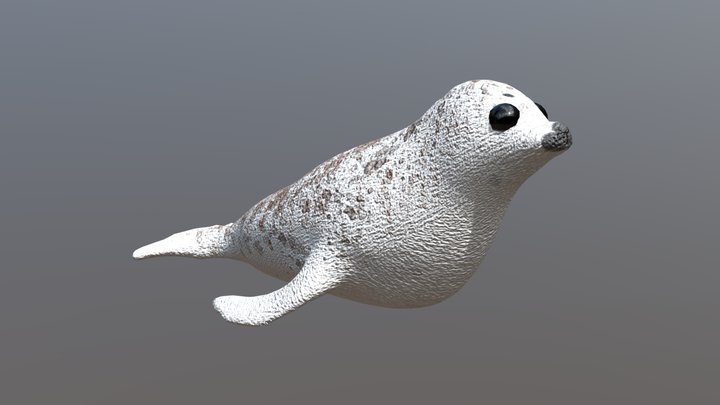 Dotted White Seal - Free Giveaway 3D Model