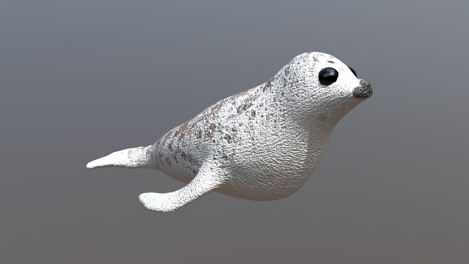 Dotted White Seal - Free Giveaway