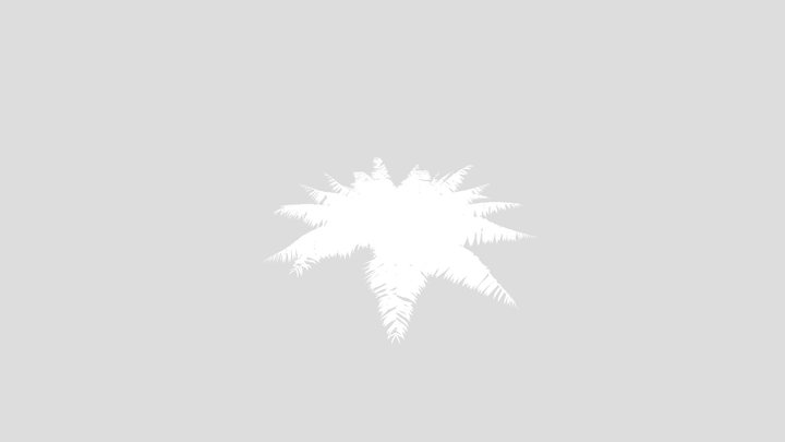 Ostrich Fern