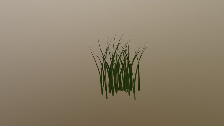 Grass (free to use) 3D Model