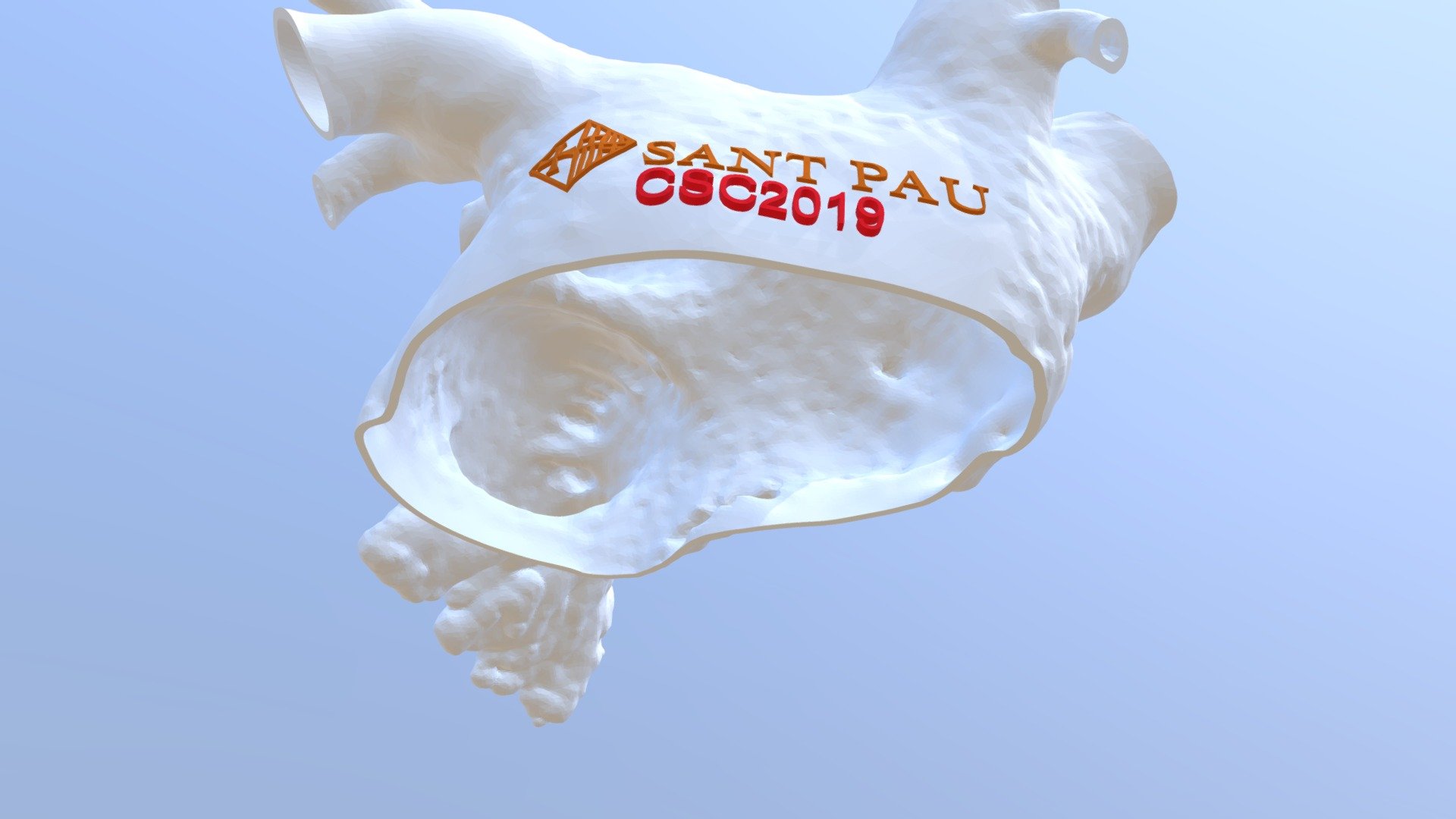 Left atrial appendage