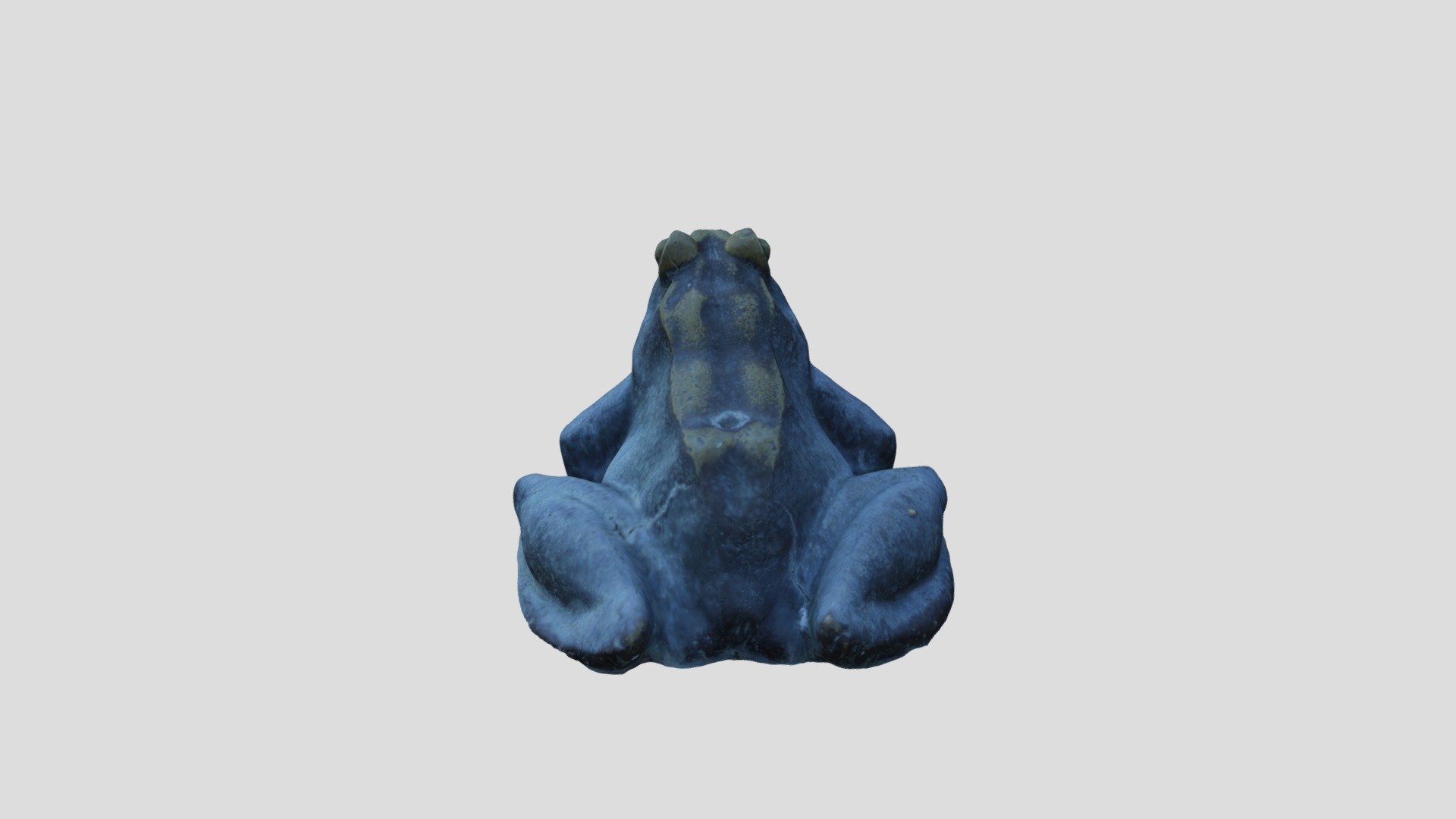 ZEPHYR_FROG_PROCESSED