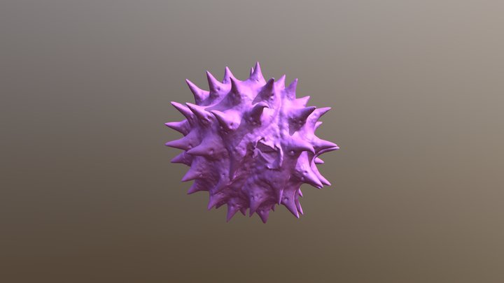 Coneflower/Echinacea pollen 3D Model