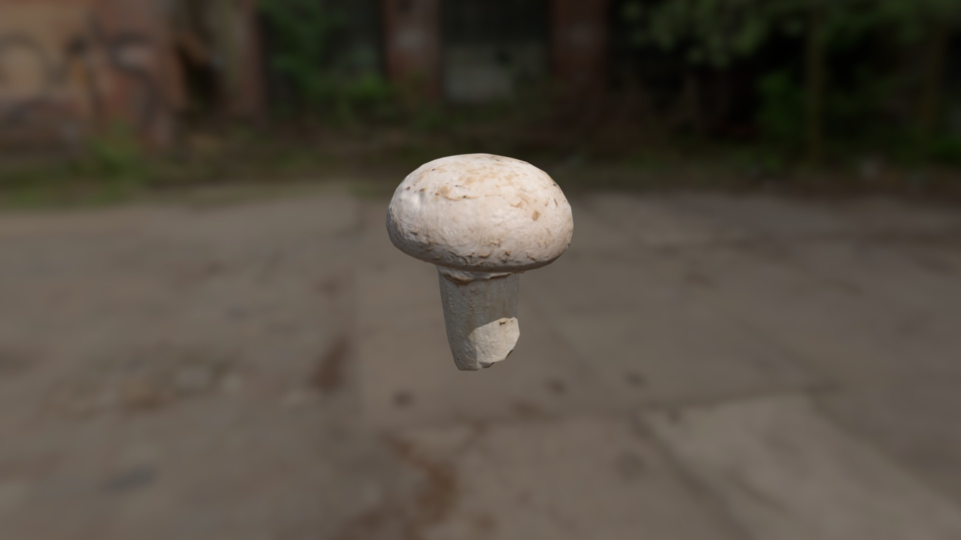 3D model Mushroom5 Lowpoly - This is a 3D model of the Mushroom5 Lowpoly. The 3D model is about a close up of a mushroom.