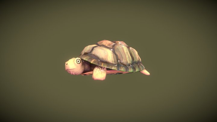 Stylized Turtle 3D Model