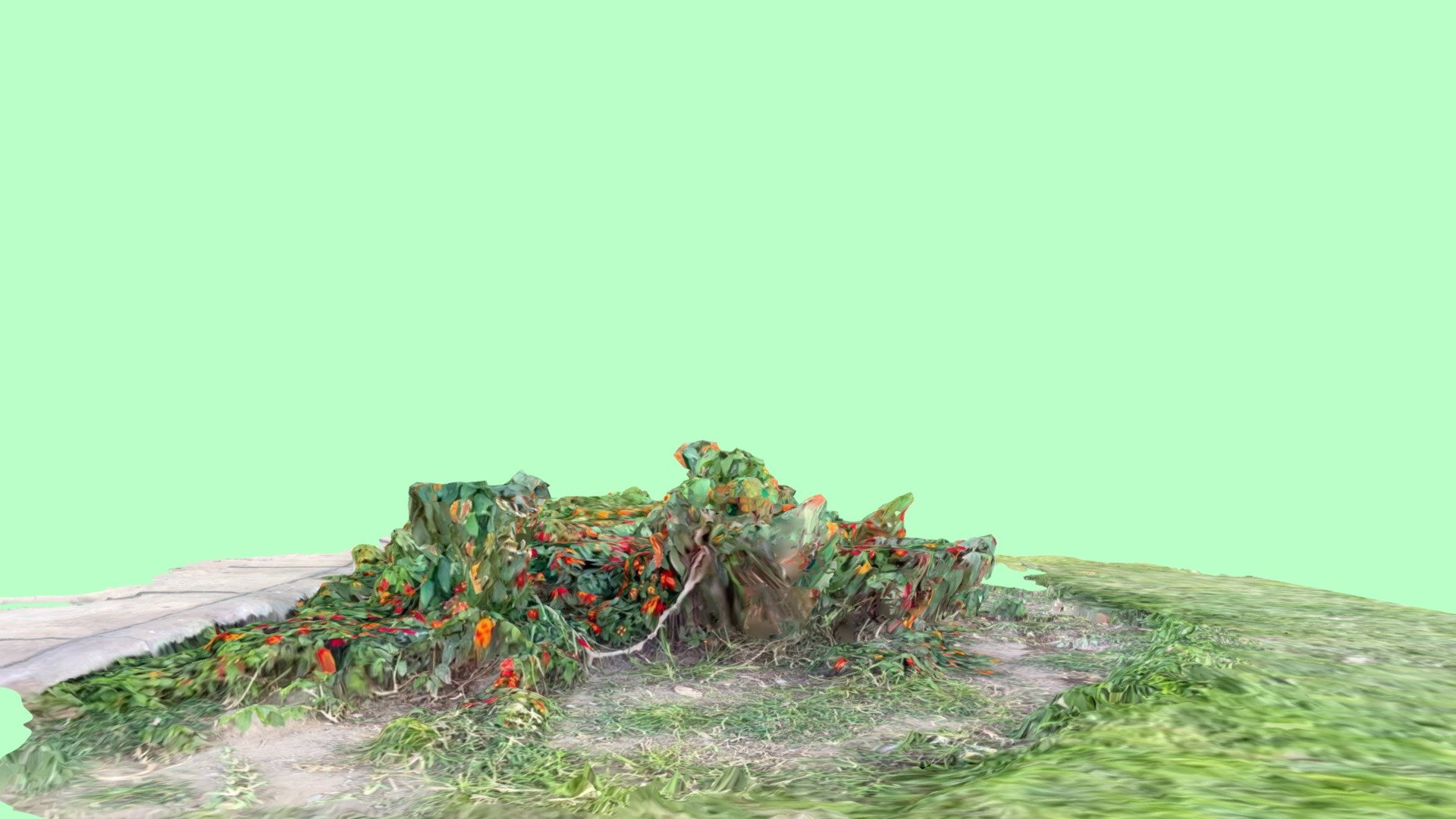 Grass - LiDAR