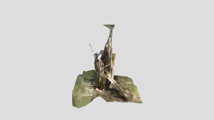 BrokenTreeTest01 3D Model