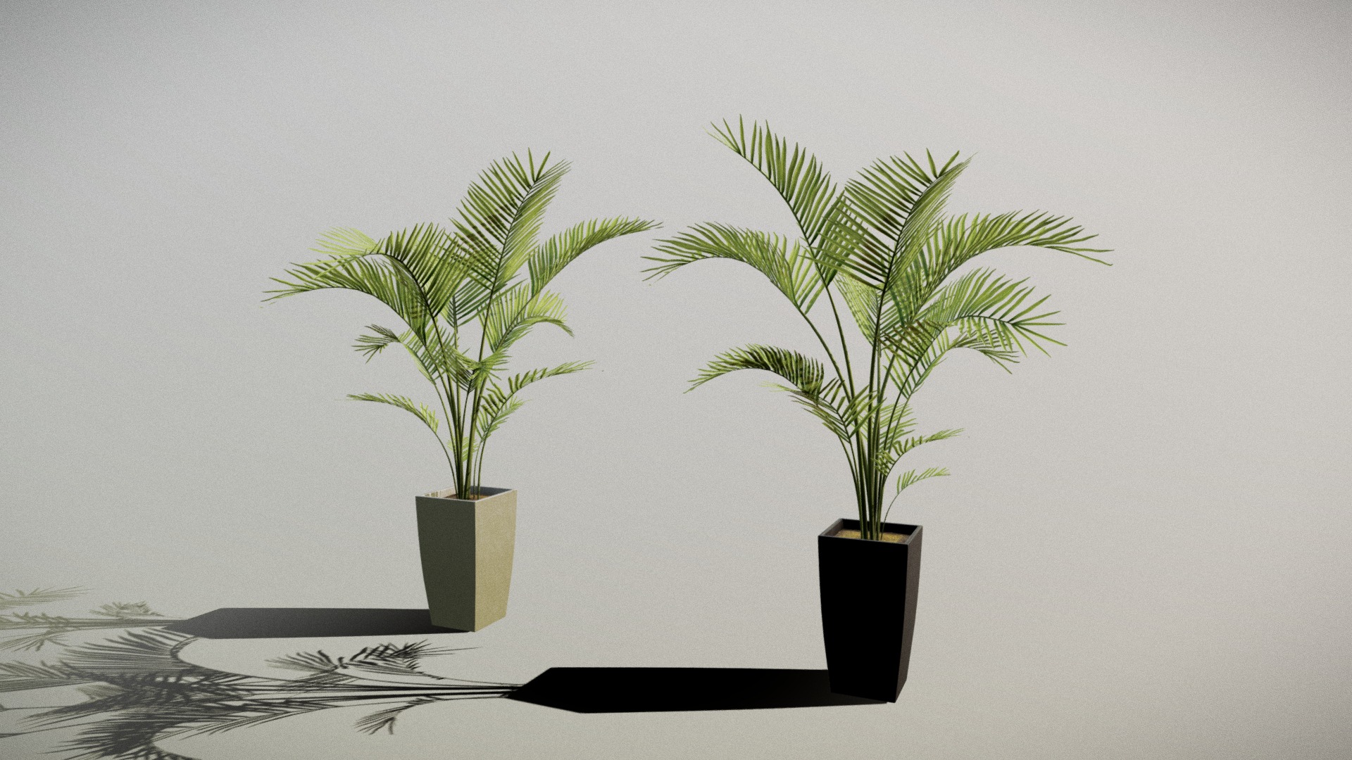 3D model Pot (Palm) - This is a 3D model of the Pot (Palm). The 3D model is about a couple of potted plants.