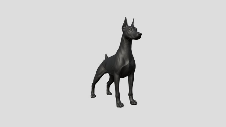 Doberman Pinscher Dog 3D Model