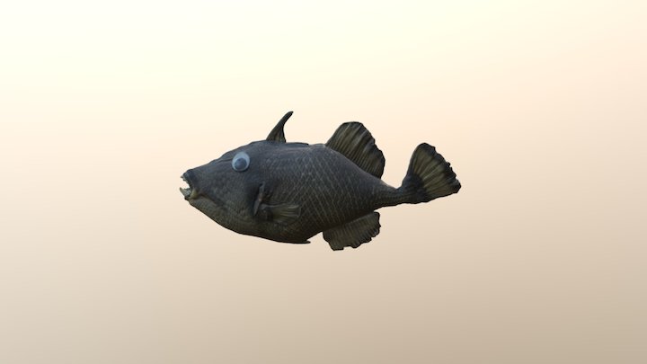 Fish Model 3D Model