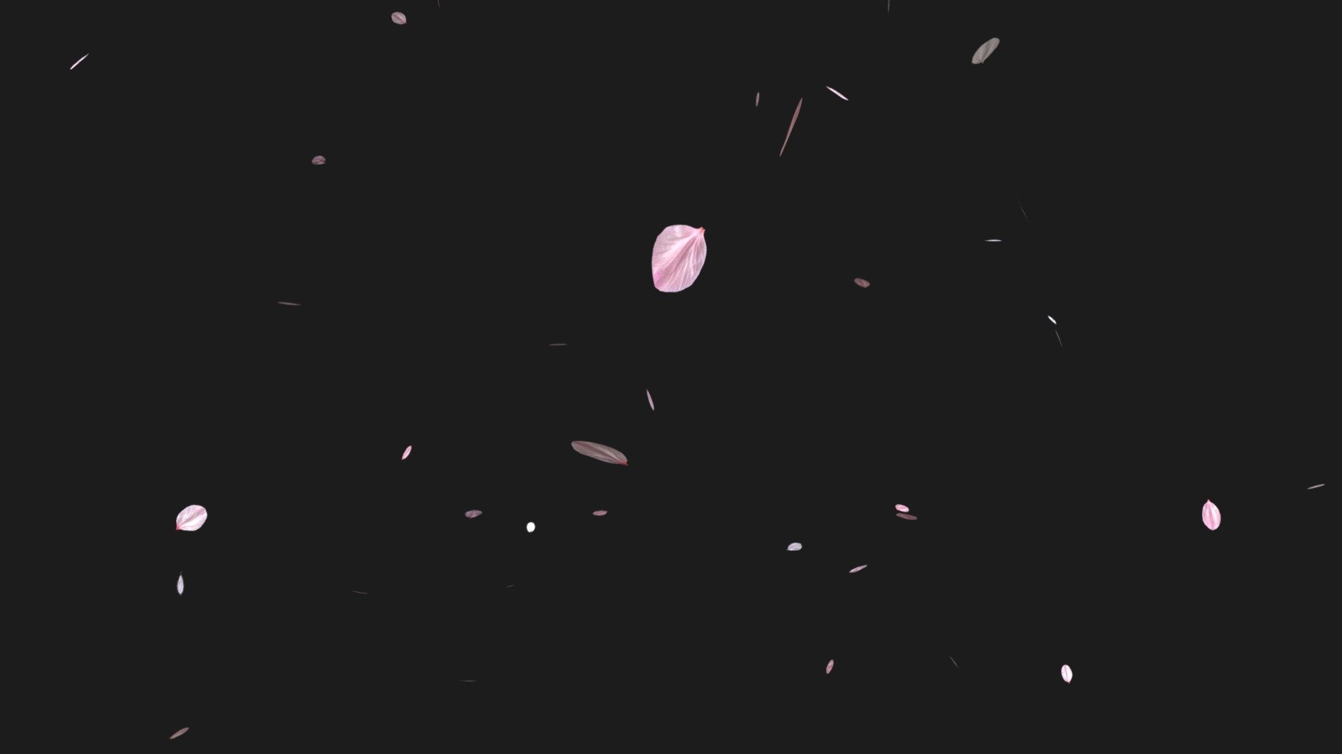 Falling Cherry Blossom Petals Looping Rigged - 3D model by IZ.MdVerz ...