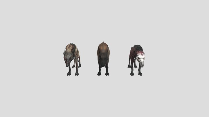 Grave_and_ Wolf_ Hounds_ Ce72lz W