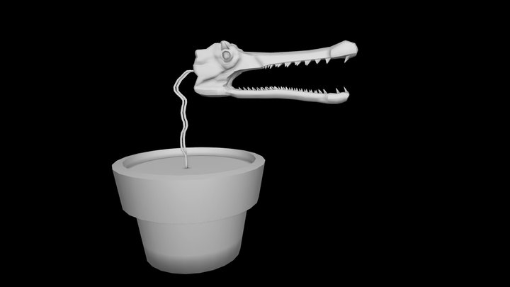 Croc in a Pot CT4012 3D Model