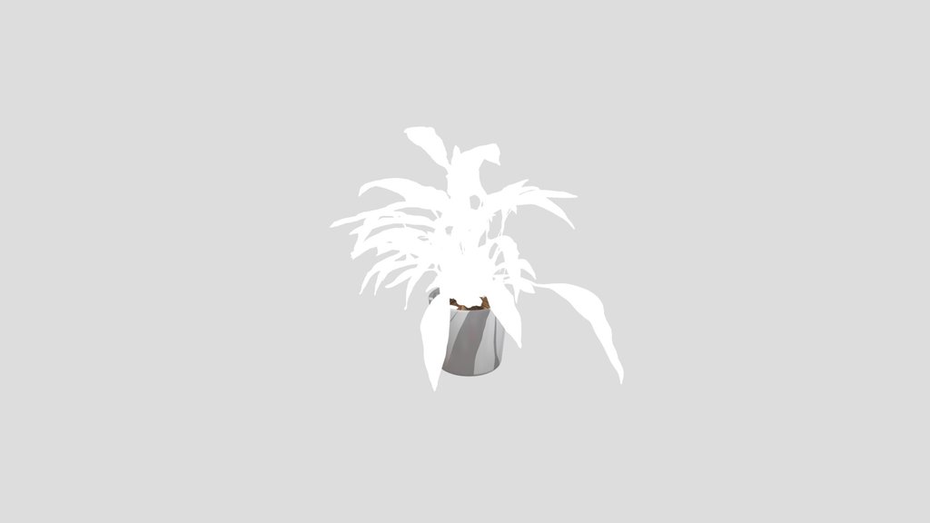 Plant Pot