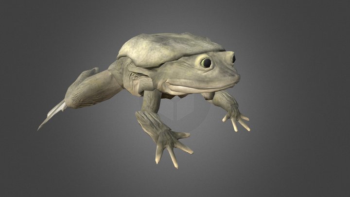 Lake Titicaca Water Frog 3D Model
