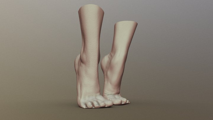 Female Foot 4 3D Model