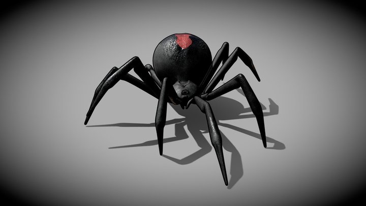 Latrodectus - Black Widow - Spider - Walk Cycle 3D Model