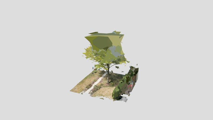 Tree05 3D Model
