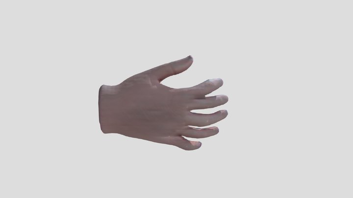 Male hands [free] 3D Model