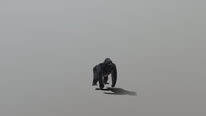 Gorilla 3D Model