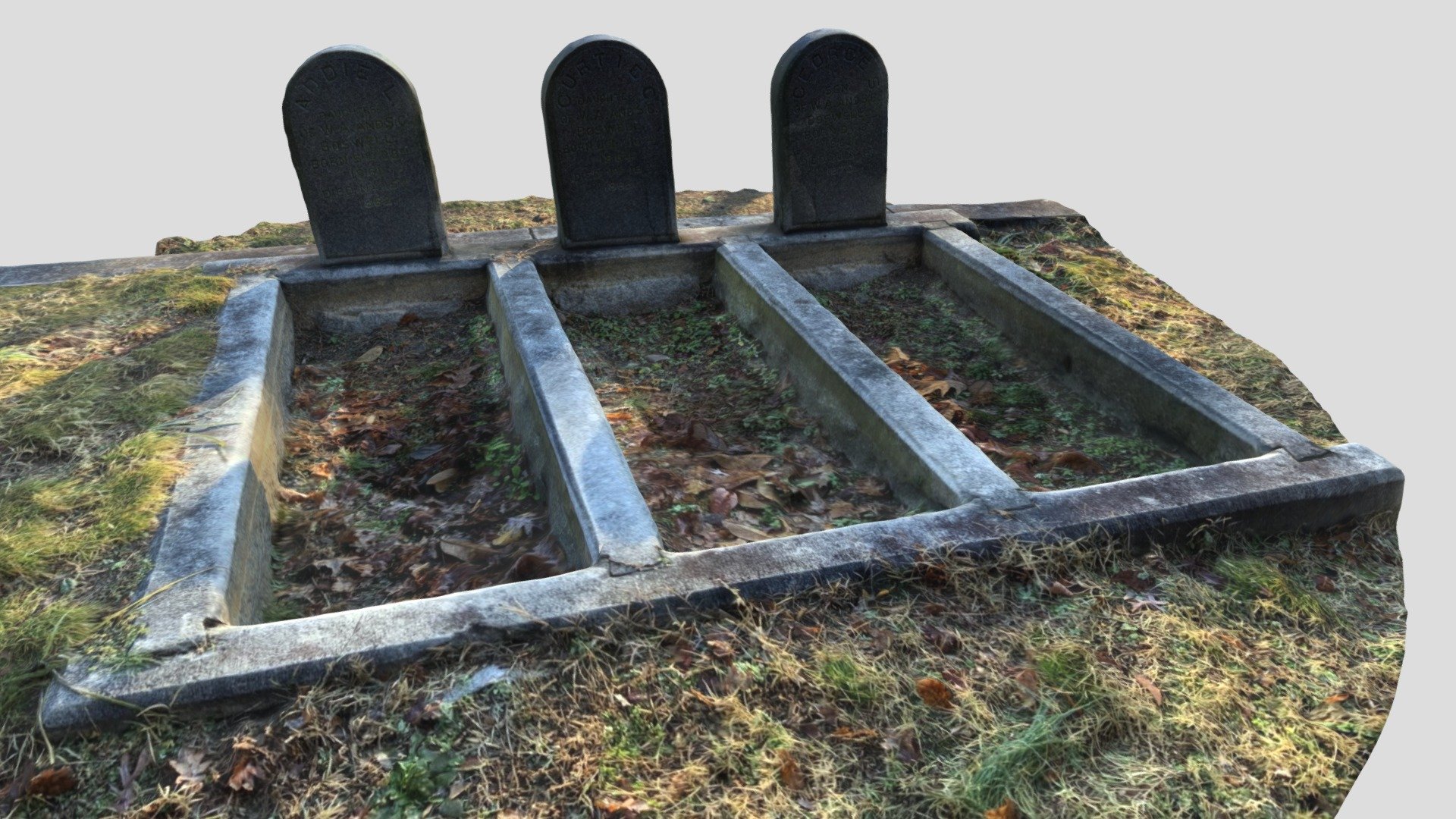 Cradle graves (VCU_3D_5720) Download Free 3D model by Virtual