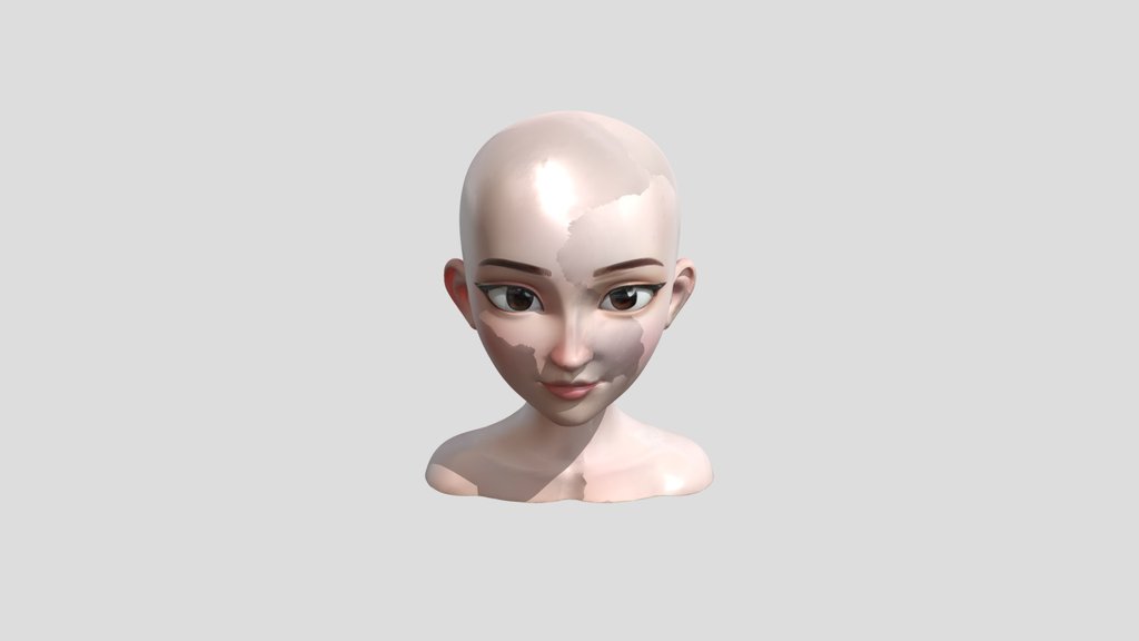 bald human head and neck bust