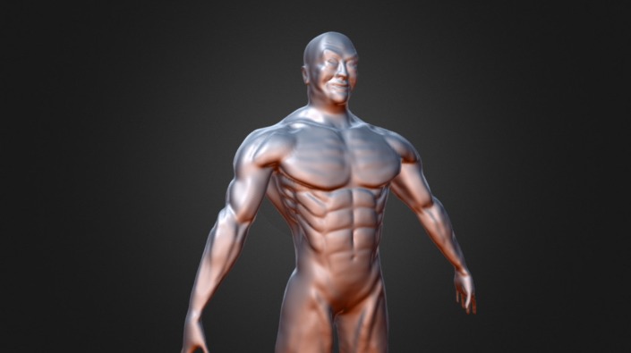 Anatomia - 3D model by JPCorrales [67871d9] - Sketchfab