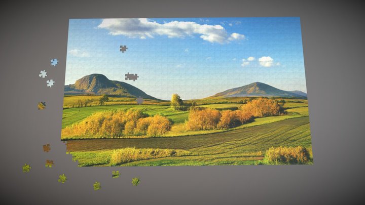 Jigsaw Puzzle - 1000 pieces 3D Model