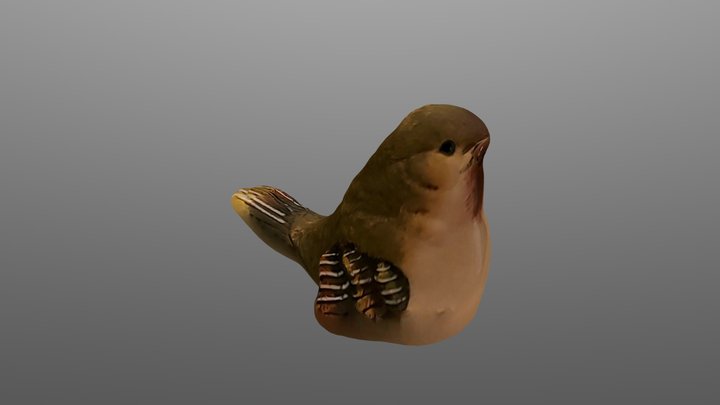 3D Bird Model purchased from US 3D Model