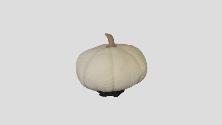 Pumpkin Pillow 3D Model