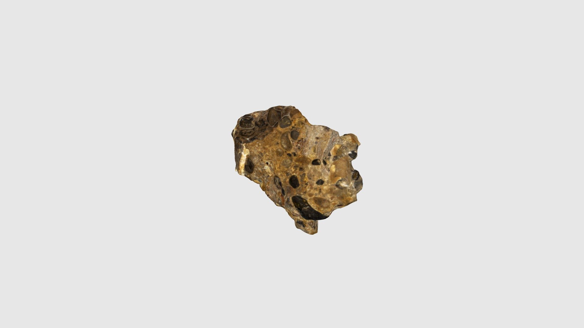 Sedimentary Rock 10
