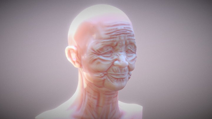 Face of Experience 3D Model