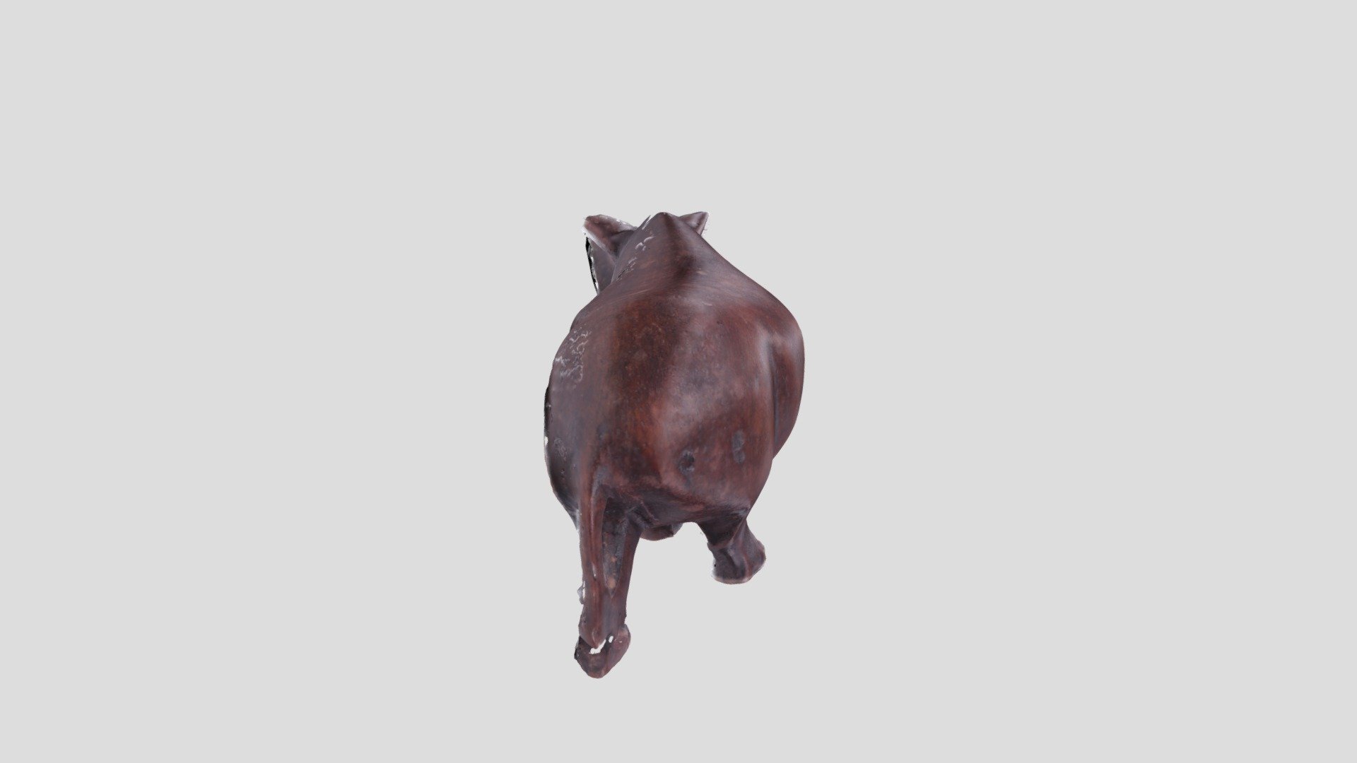 METASHAPE_RHINO_PROCESSED