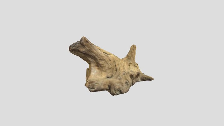 Wood scan 3D Model
