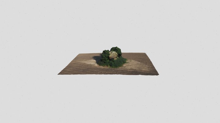 Dolmen bei Birkenmoor 3D Model
