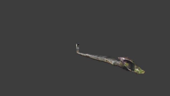 RESOLOGY Champ sur Marne 3D Model