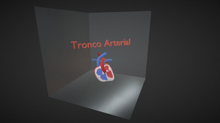Tronco Arterial 3D Model