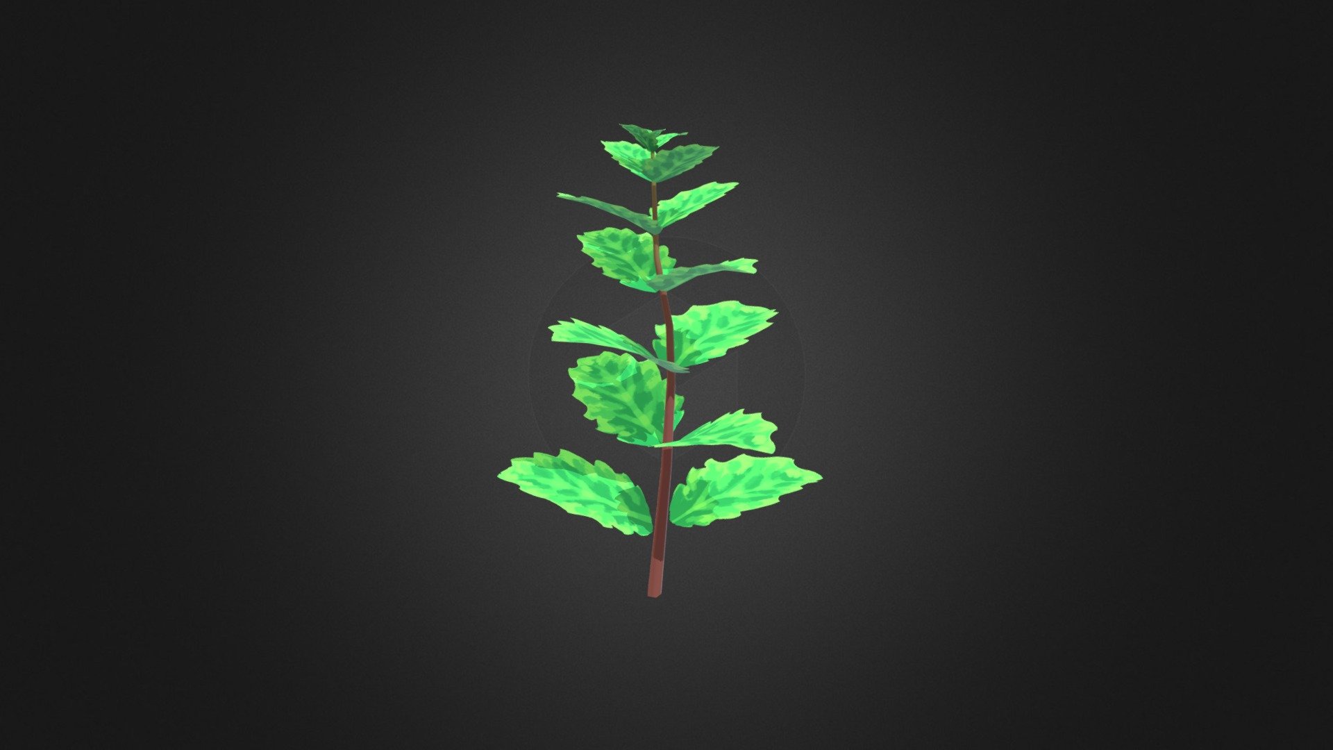 Mint - 3D model by Dr-Dragon Witch (@dr-dragonwitch) [67a699f] - Sketchfab