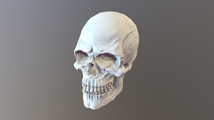 skull lowpoly 3D Model