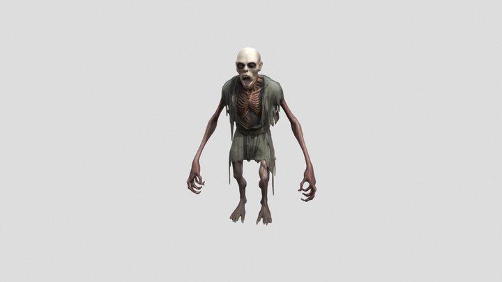 The Forsaken Wanderer 3D Model