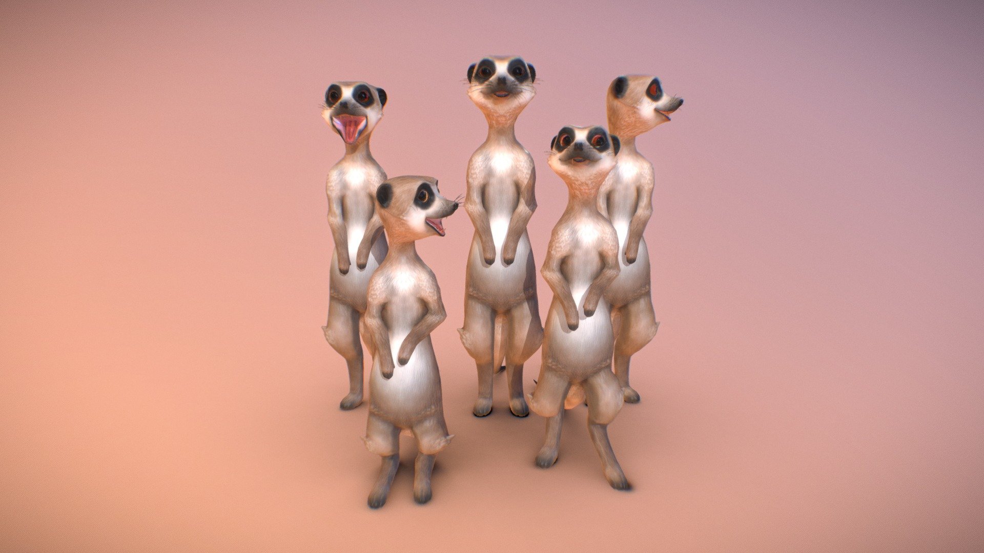 Meerkat